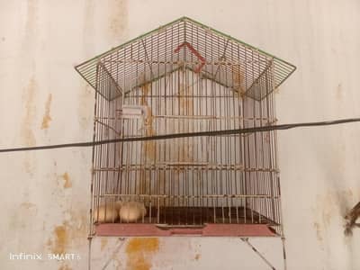 bird cage