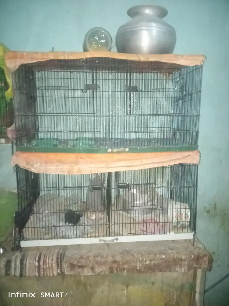 bird cage 03095084852 — photo 2