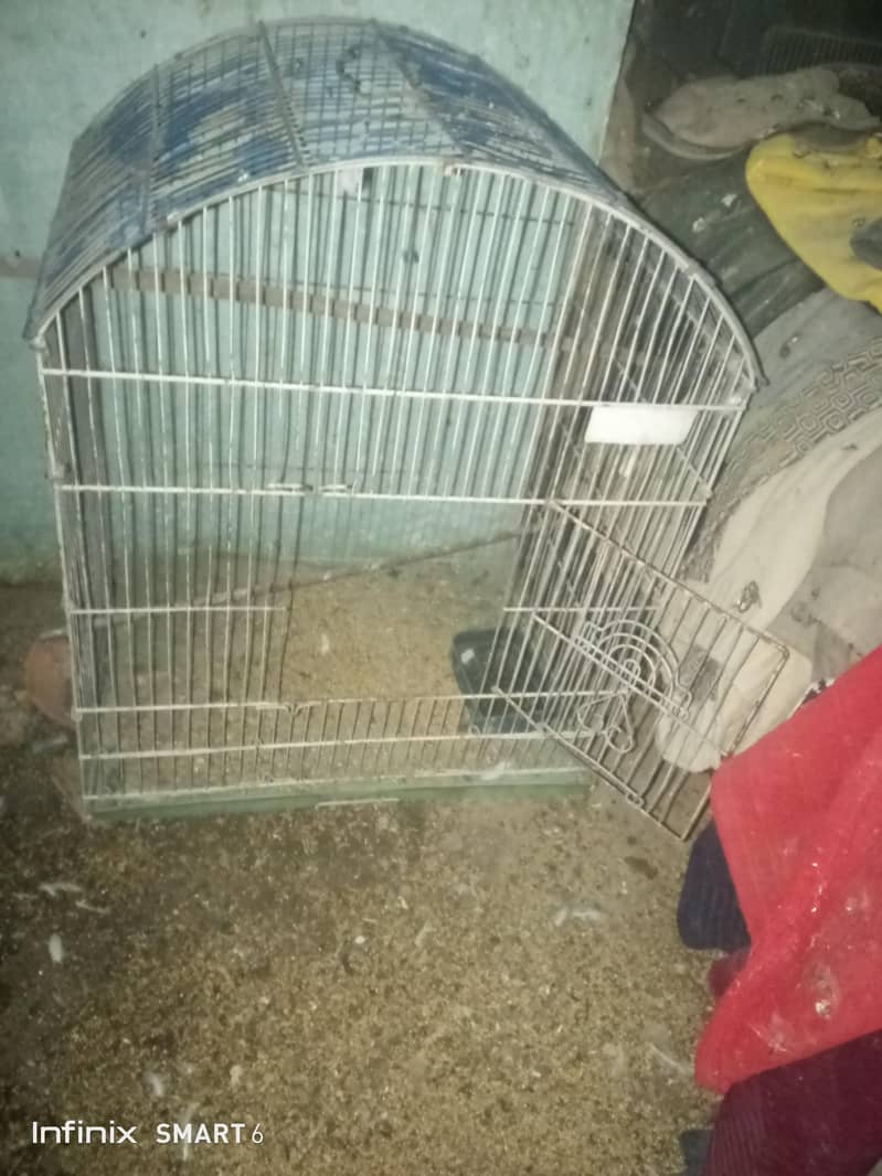 bird cage 03095084852 3