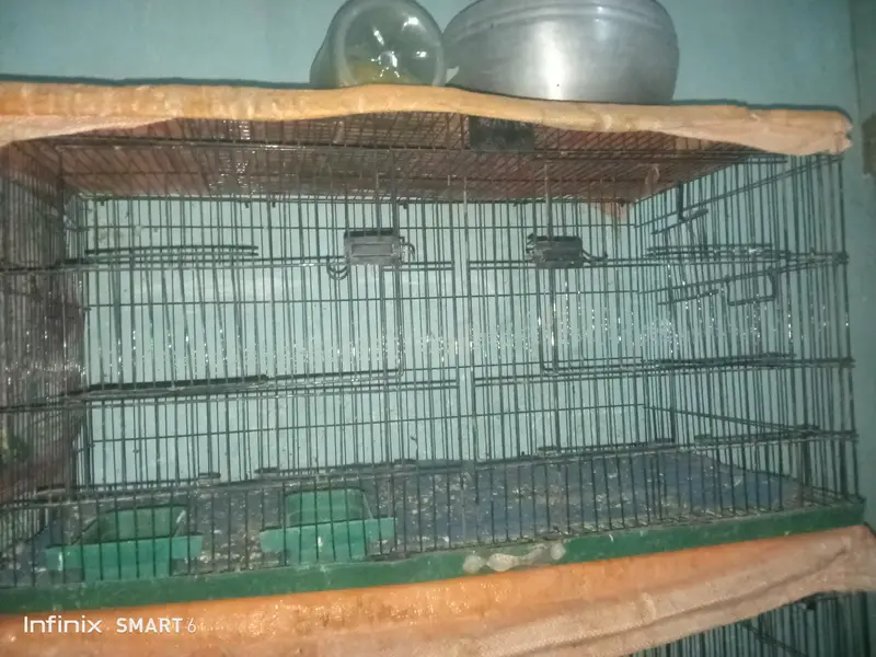 bird cage 03095084852 — photo 5