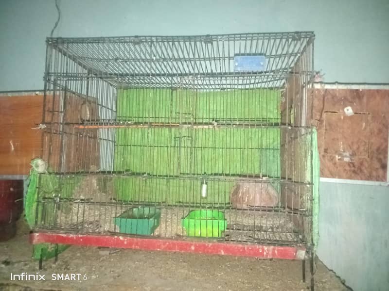 bird cage 03095084852 5
