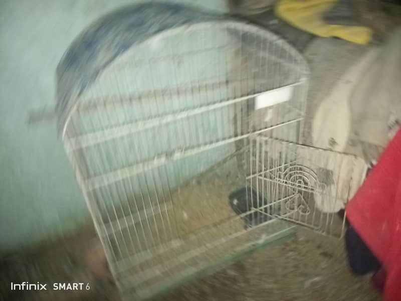 bird cage 03095084852 7