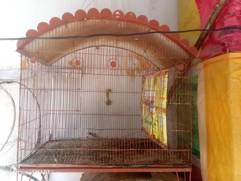 bird cage 03095084852 8