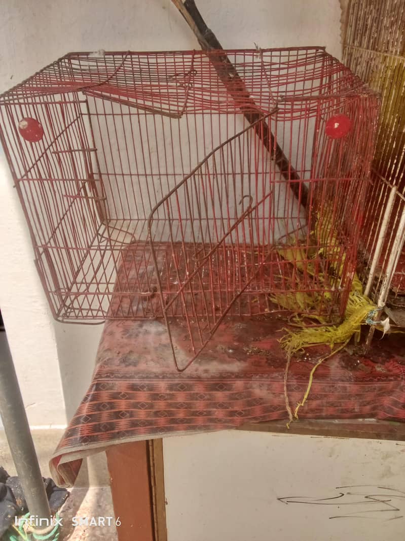 bird cage 03095084852 9