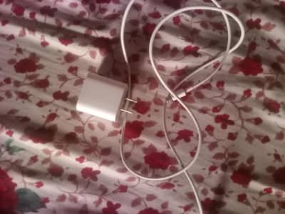 iphone original charger 20 waat