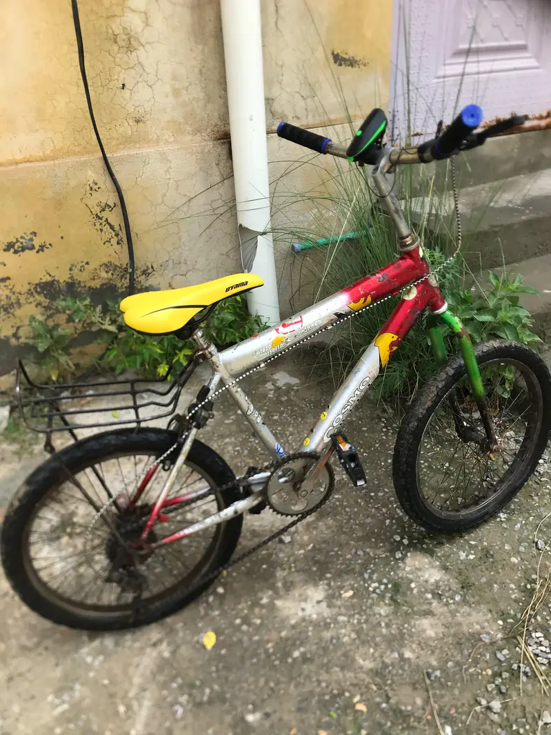 WHEELING WALI CYCLE FOR SALE