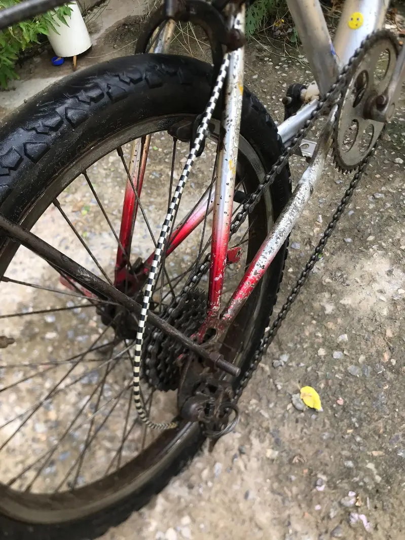 WHEELING WALI CYCLE FOR SALE — photo 3