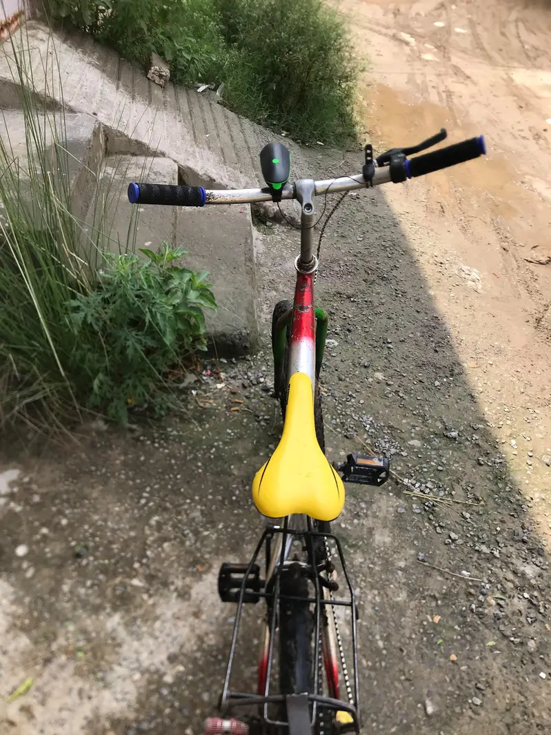 WHEELING WALI CYCLE FOR SALE — photo 5