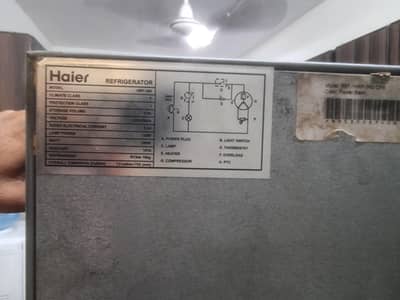 Haier company