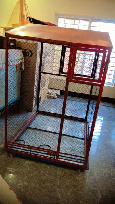 Iron cage , best for parrot