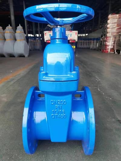 Flanges and Valves