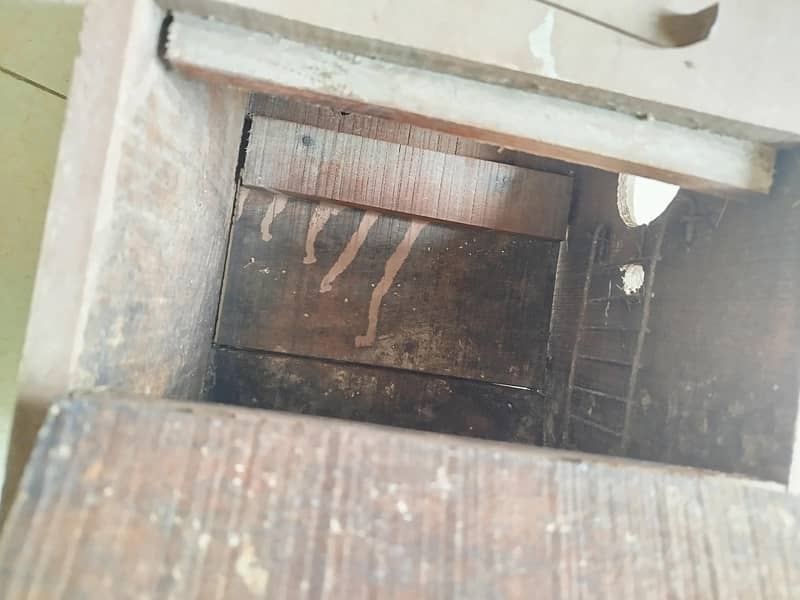 Solid Breeding Boxes 3