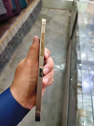 iPhone 12 Pro Max (Approved)