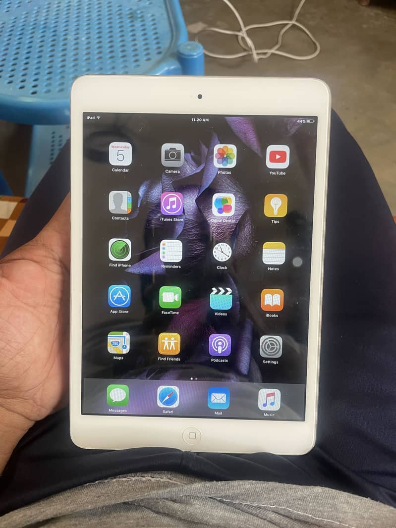 Apple iPad mini 0