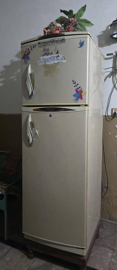 waves fridge