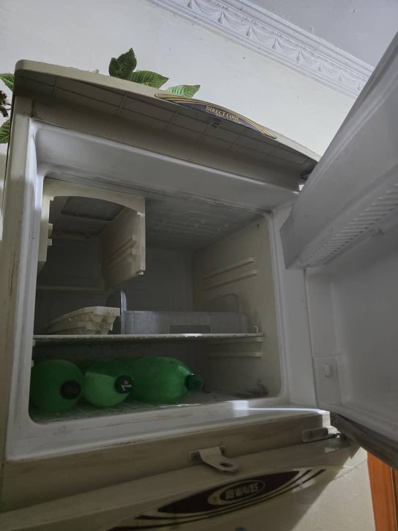 waves fridge 3