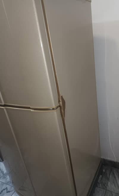 piel fridge