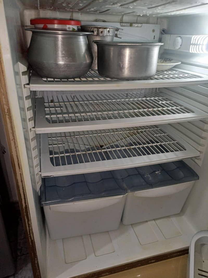 PEL fridge 4