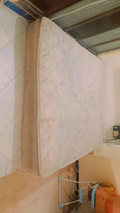 Molty foam Spring mattress