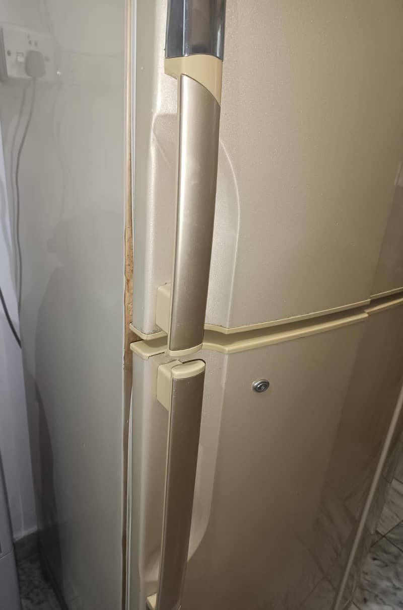PEL  fridge 3