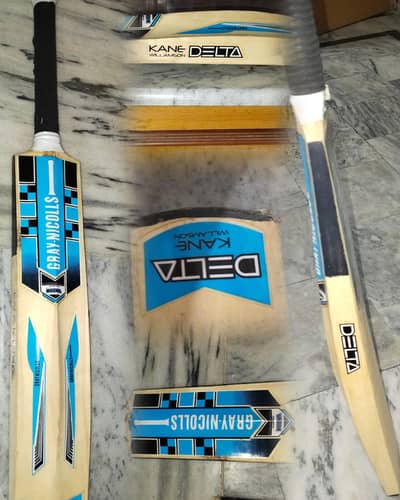 hard ball cricket bad