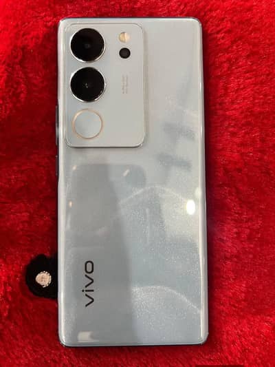 Vivo V29 5G 12/256