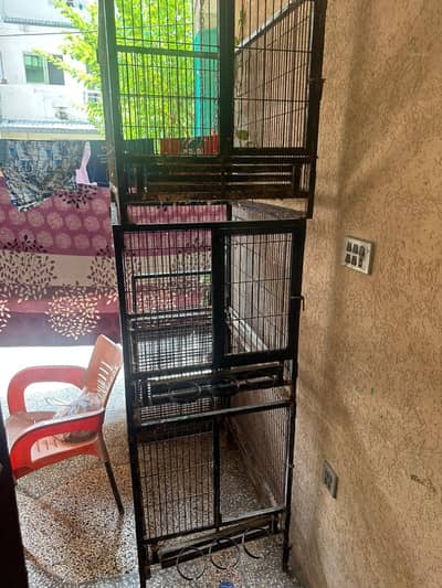 parrot cage