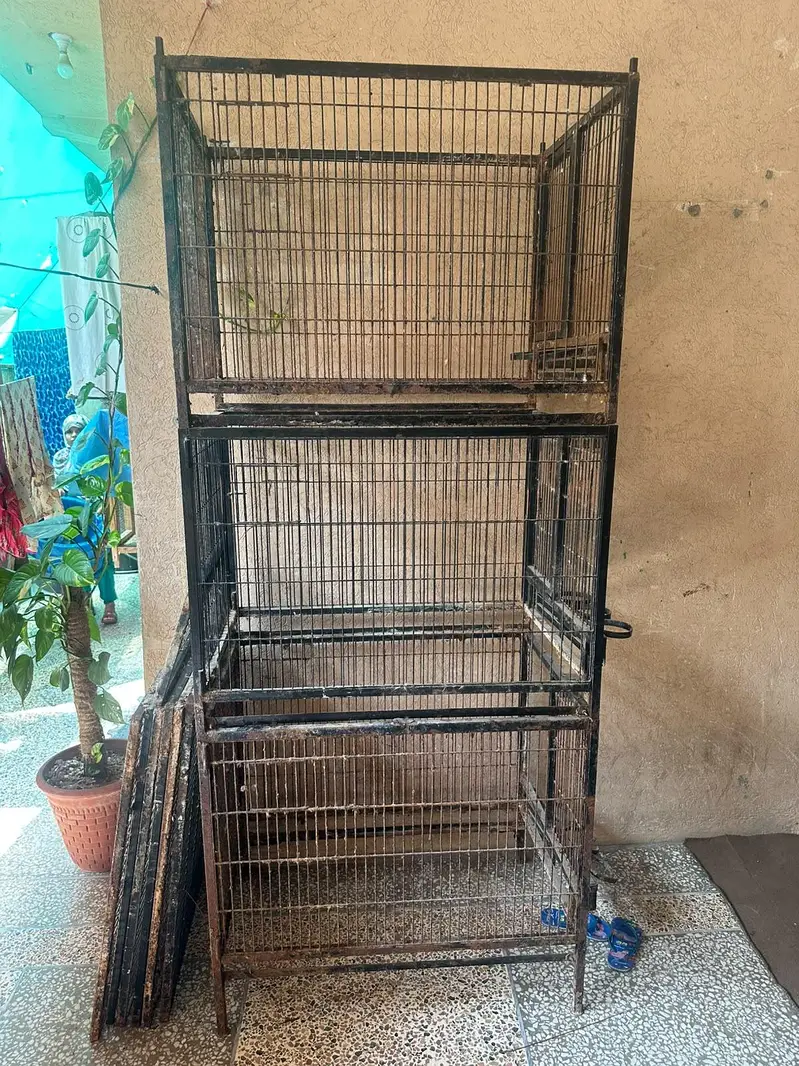 parrot cage — photo 2