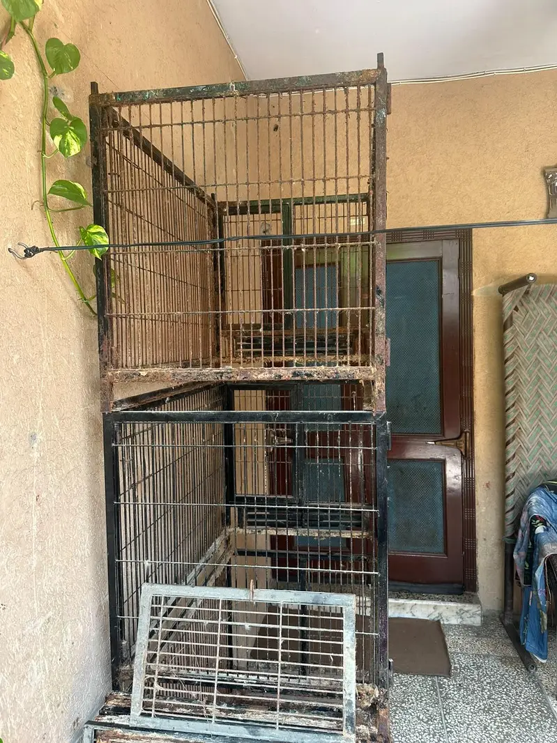 parrot cage — photo 3