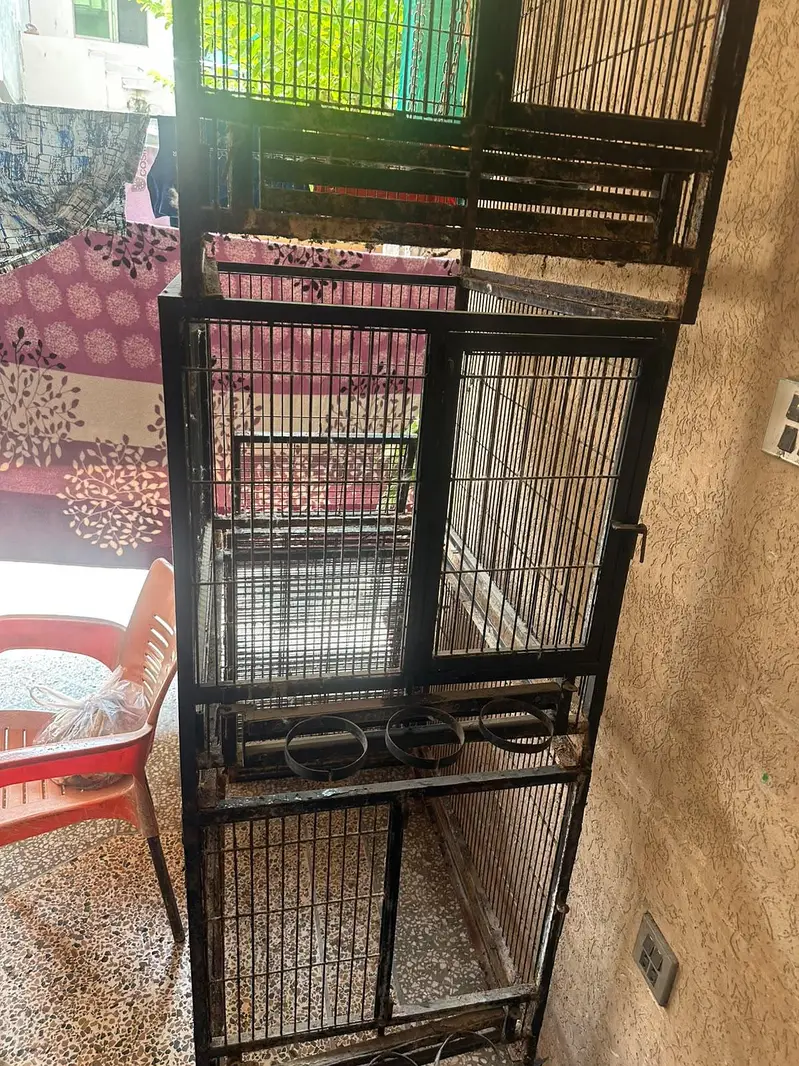 parrot cage — photo 4
