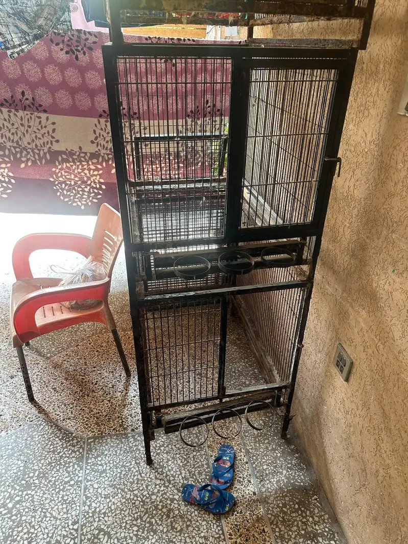parrot cage — photo 5
