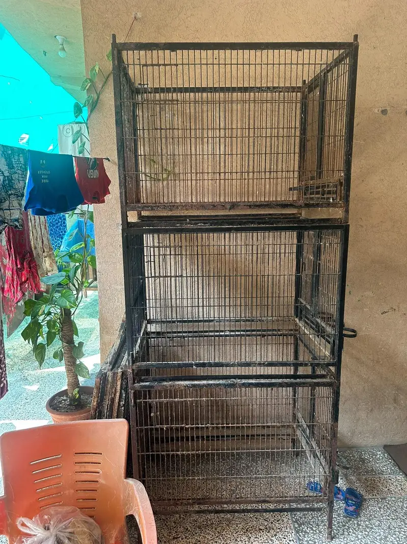 parrot cage — photo 6