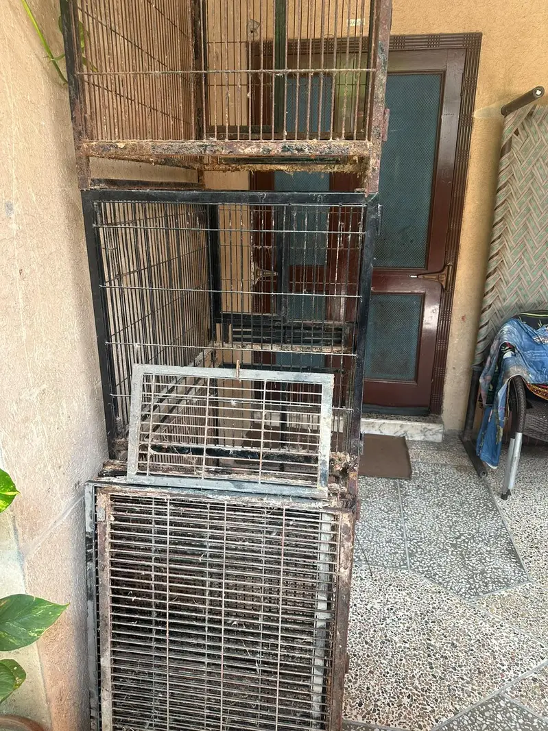 parrot cage — photo 7