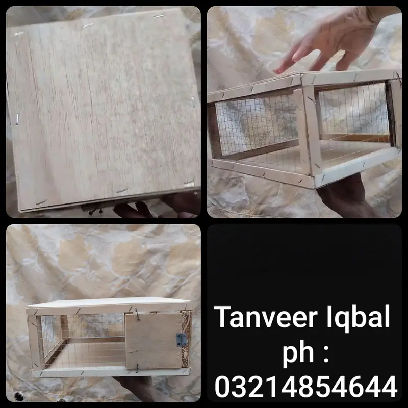 bird parcel box — photo 2