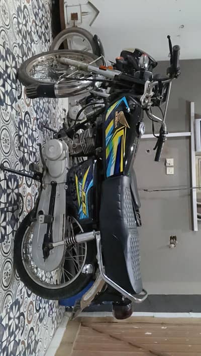125 full lush condition
