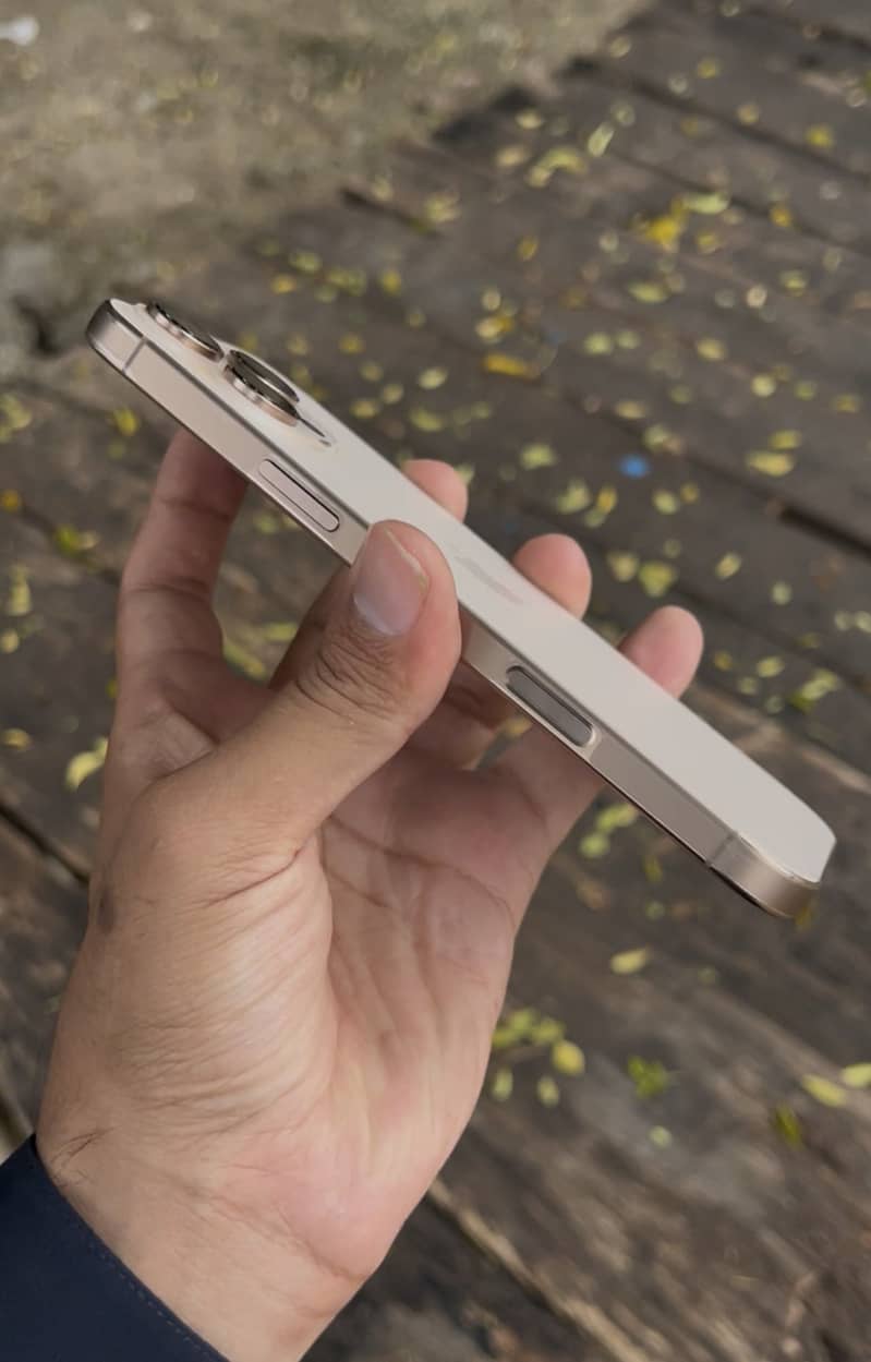 Apple iPhone 16 Pro Max 1
