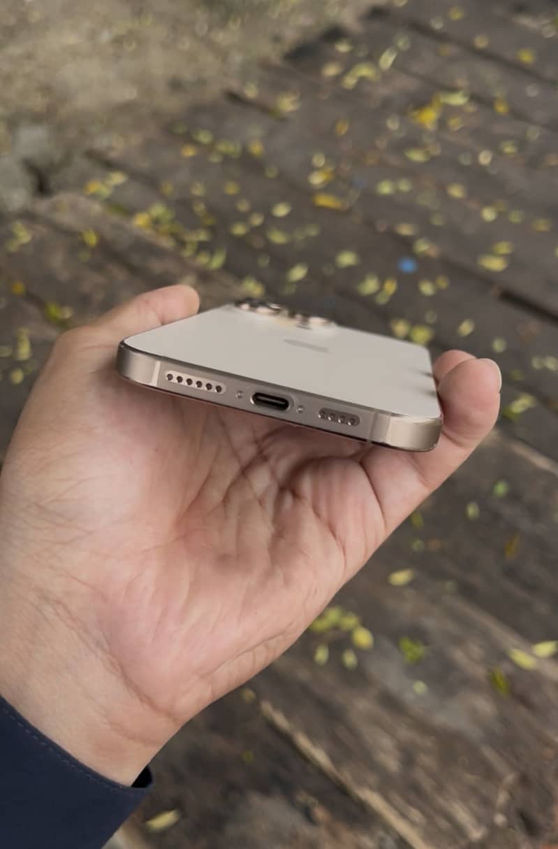 Apple iPhone 16 Pro Max 2