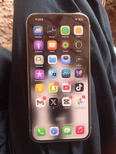 Apple iPhone 13 Pro Max jv