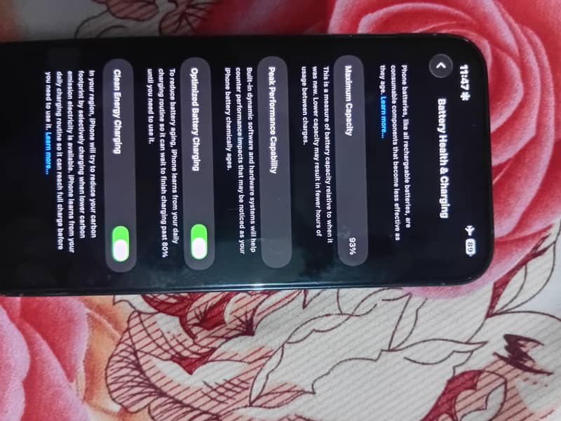 Apple iPhone 13 Pro Max 1
