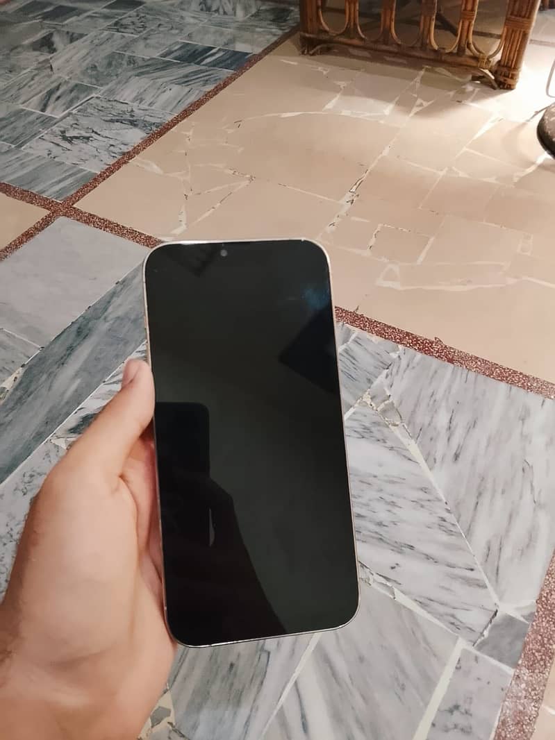 Apple iPhone 13 Pro Max 0