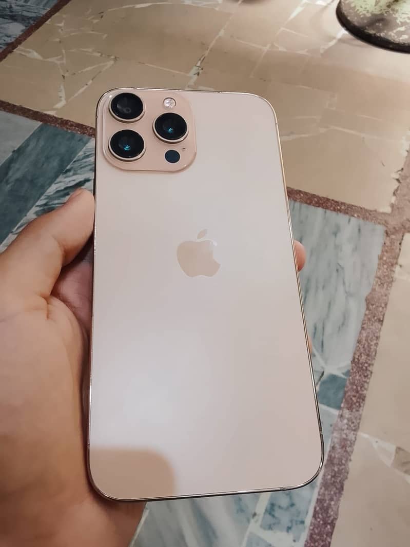Apple iPhone 13 Pro Max 1