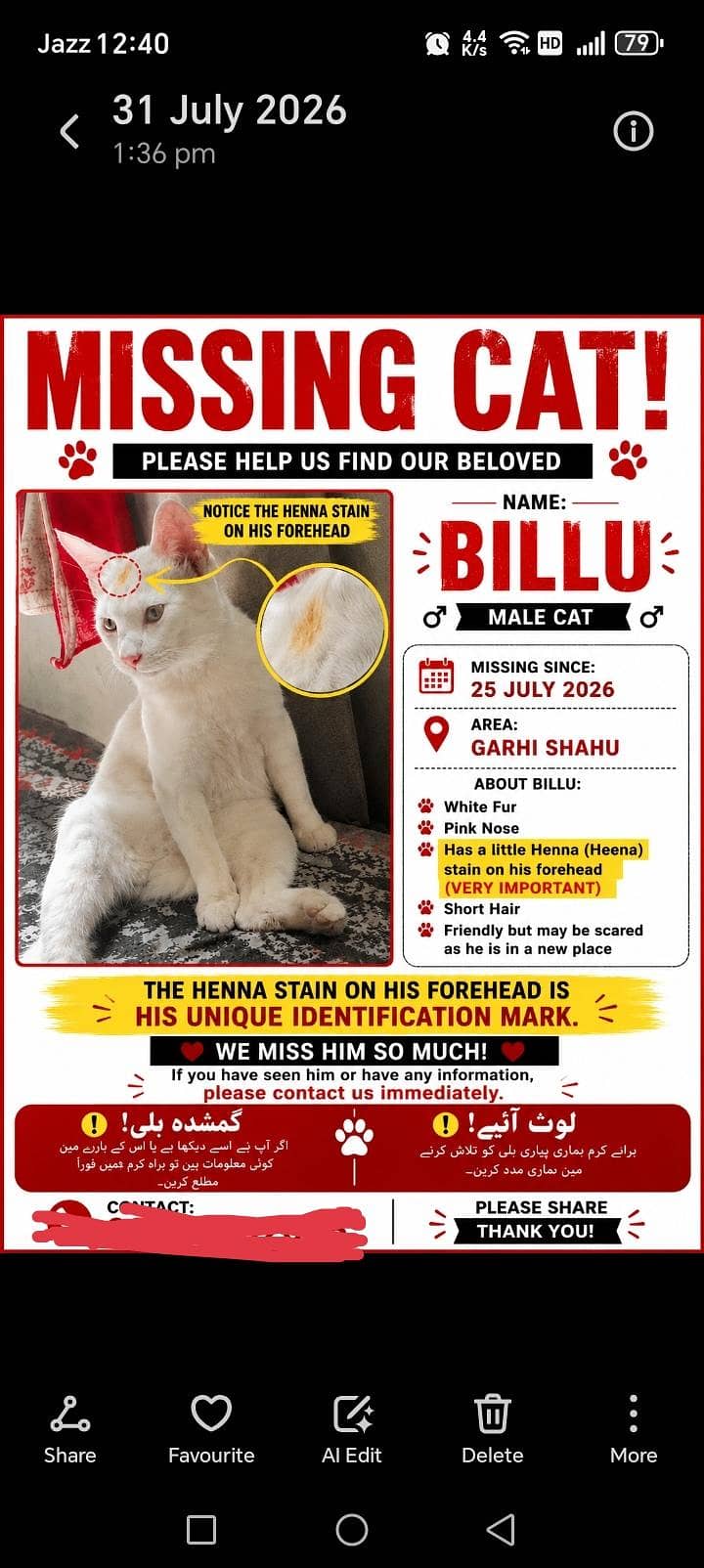 missing cat 0