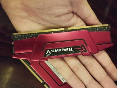 G Skill Ripjaws 32GB 3600mhz
