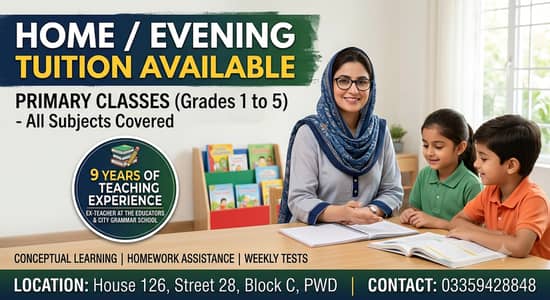 Experience primary teacher