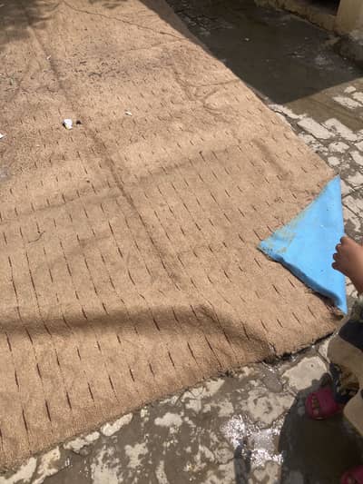 Carpet single room