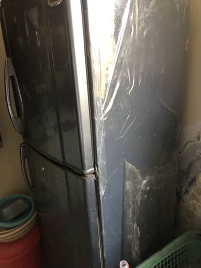 waves fridge