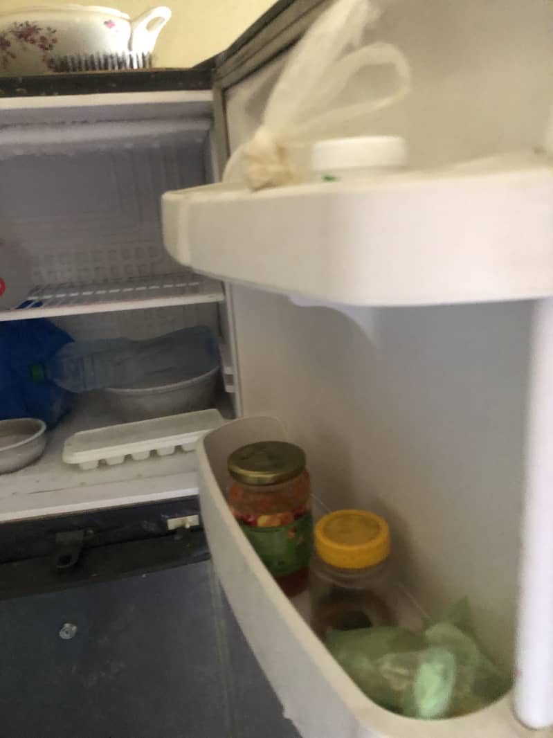 waves fridge 1