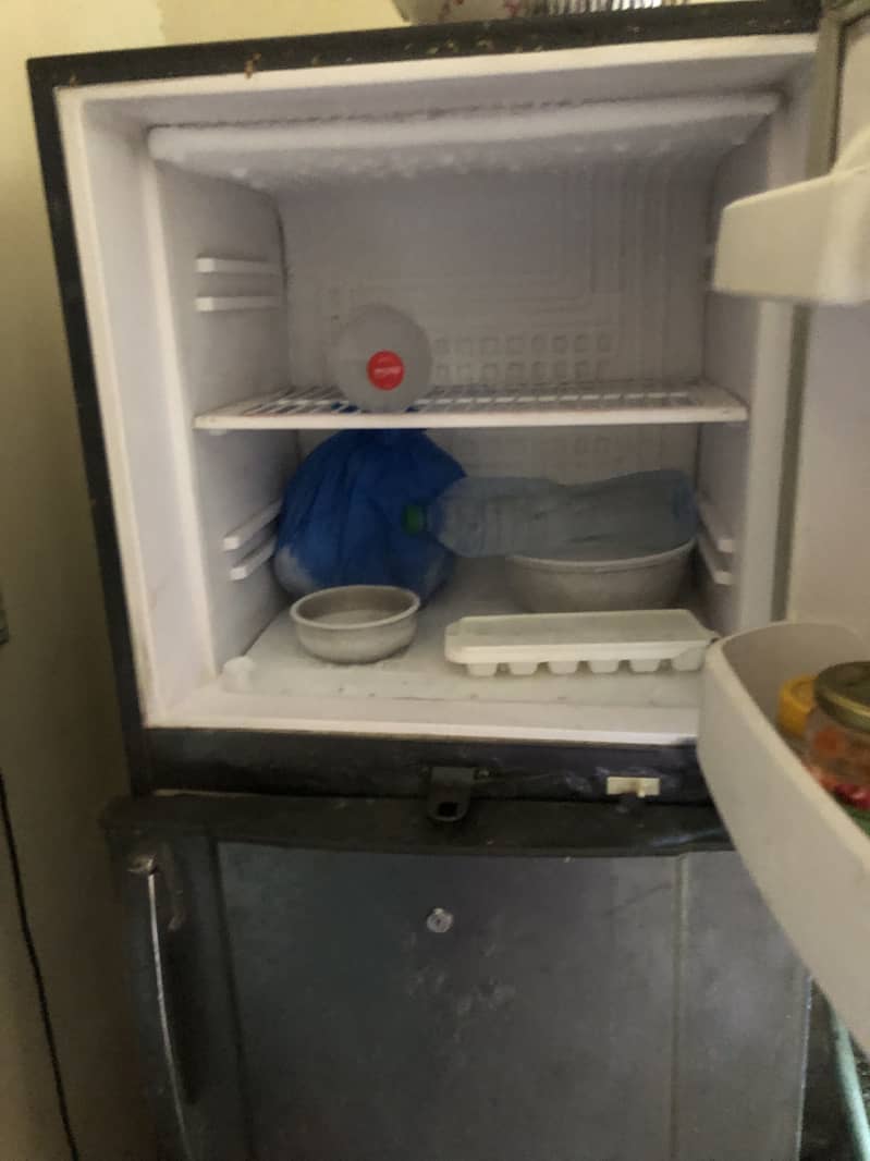 waves fridge 2