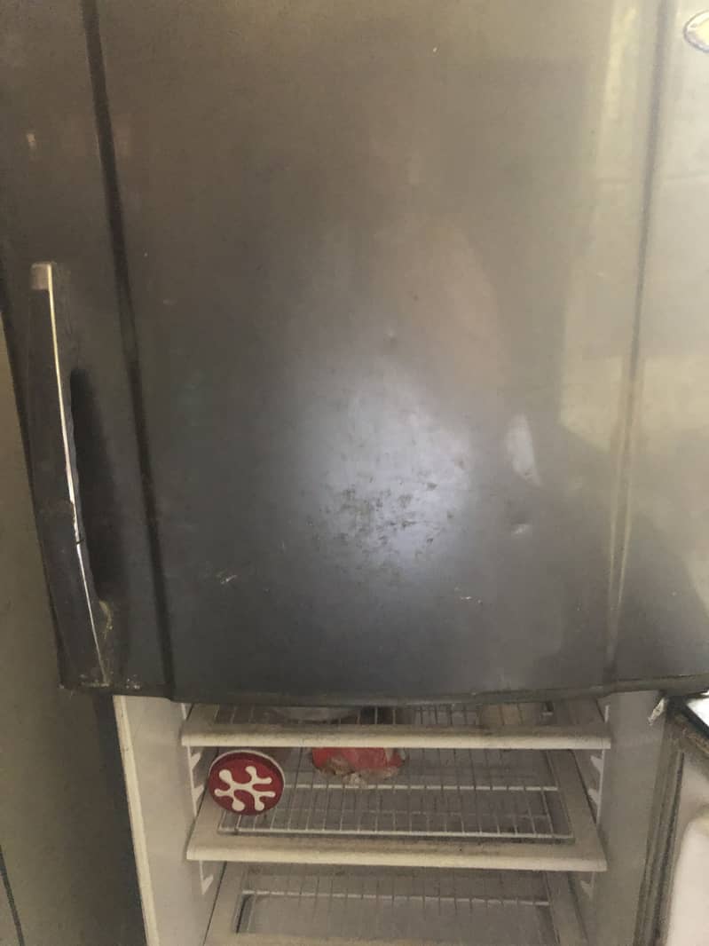 waves fridge 3
