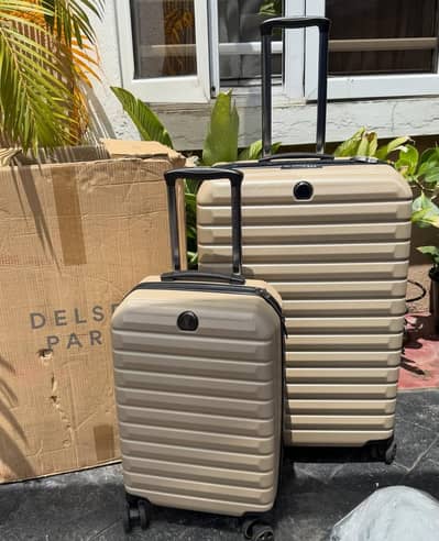 Luggage bag (delsy paris)